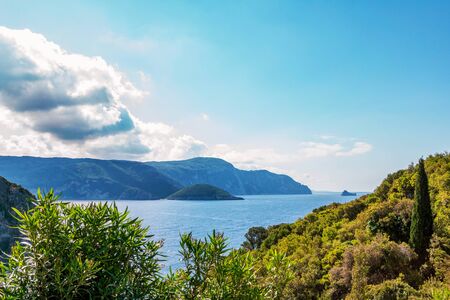 Beautiful trees and trees blooming bushes on the shore. Corfu Island, Greece.の写真素材