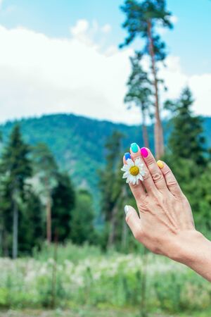 View of woman`s hand with colorful manicure, holding chamomile flower with forest and mountains on background. Travel concept.の写真素材