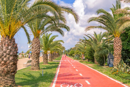 Batumi / Georgia - July 09, 2019: view of beautiful promenade with bike path, palm trees, lawns with green grass and colorful blooming flowers. Summer cityscape with beach, blue sky with clouds.のeditorial素材