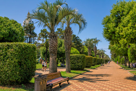 Batumi / Georgia - July 10, 2019: view of beautiful promenade, palm trees, lawns with green grass and bushes. Summer cityscape with walking people and blue sky.のeditorial素材