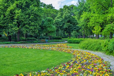 Landscape with beautiful summer park with no people? colorful flowers, green lawn, footpath, bushes and trees.の写真素材