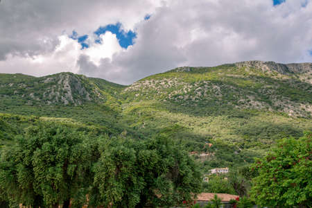 Summer landscape - mountains, covered with green trees, gray clouds on the sky.の写真素材
