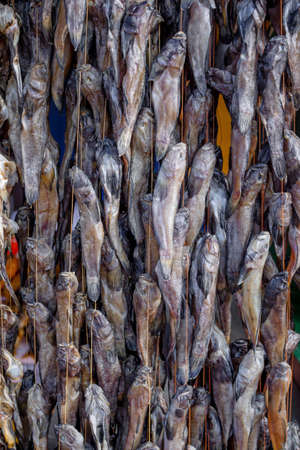 Bundles of dried salted goby or bullhead fish for sale at outdoors seafood marketの写真素材