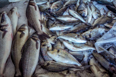 Fresh fish â seabass and seabream orata fish âon ice for sale at outdoors sea food market. Raw fish.の写真素材