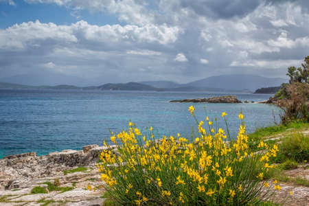 Beautiful summer landscape with sea lagoon, rocks and cliffs, green bushes and yellow flowers on the coast, mountains on the horizon and clouds on the sky.の写真素材