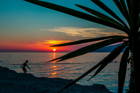 View of the beach on sunset: palm tree leaves, pink and blue sky and sunlight reflecting on sea water and defocused playing child silhouette.の写真素材