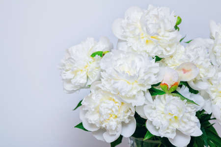Beautiful white peony flowers bouquet with water drops on petals on a white background.の写真素材