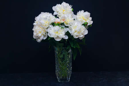 Beautiful white peony flowers bouquet with water drops on petals in glass vase with dark backgroundの写真素材