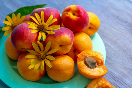 Ripe apricots decorated with yellow flowers on a plate on a wooden tableの写真素材