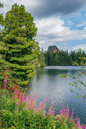 Beautiful summer landscape of High Tatras, Slovakia - Strebske Lake lush forest, mountains and pink...