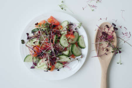 Fresh salad with tomatoes, cucumbers, radishes and microgreens of amaranth, sango radish with olive oil on a white plate. Healthy healthy food. Slimming. Top view, flat layの写真素材