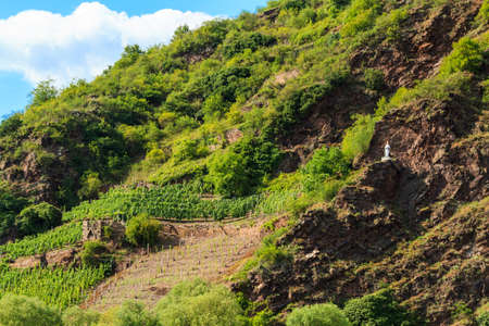 The view of vineyards in Germany