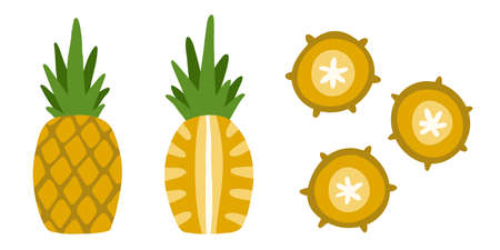 Pack of isolated objects - delicious yellow ananas. Fruit in flat style for design. Bright, color, modern illustration. Whole and cut raw fruits.のイラスト素材