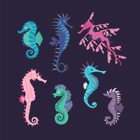 Set colorful seahorses. Pretty seahorses different silhouette on dark background. For festive card, logo, children, pattern, tattoo, decorative, creative concept. Cartoon vector illustrationのイラスト素材