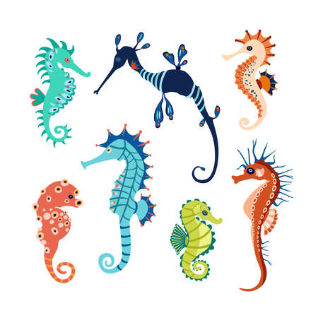 Set colorful seahorses. Pretty seahorses different silhouette on white background. For festive card, logo, children, pattern, tattoo, decorative, creative concept. Cartoon vector illustrationのイラスト素材