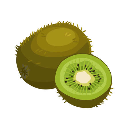 Summer fruits for health. Bright kiwi fruit whole and cut into slice on white background. Cartoon flat vector illustration.のイラスト素材