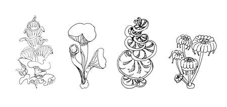 Fantasy decorative set of hand drawn magic mushrooms various shape on white background. Vector illustrationのイラスト素材