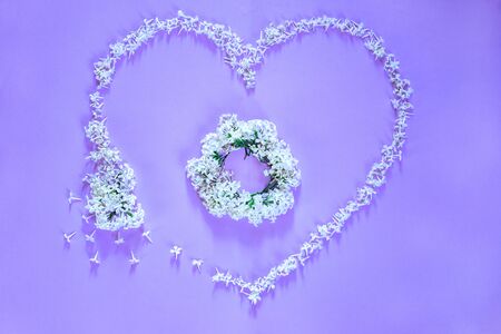 Flowering branch of white  lilac on purple background. Spring blossoming lilac top view, flat layout. Concept spring, summer, Mother's Day holidays, March 8, frame with copy spaceの写真素材