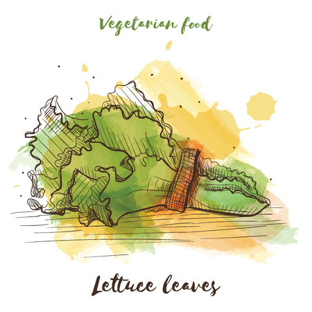 Vector watercolor sketch vegetarian food. Eco food.のイラスト素材