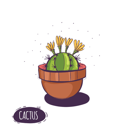 Set of cactus. Hand drawn succulent ornament. Color illustration. A set of cacti - line drawing. Vector illustration of a cactus isolated on a white background. Cute hand drawn vector cactusのイラスト素材