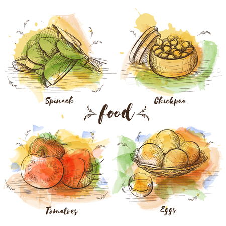 Color Set of vegetarian food in sketch graphic. Vector watercolor images of food. Healthy food, spinach, chickpea, tomatoes, eggs.のイラスト素材