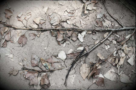 poetic styleの写真素材