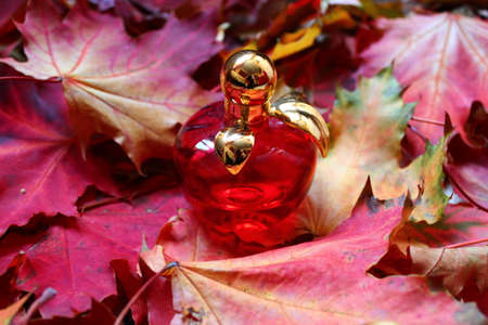 red vial of lady perfume stay on bright maple autumn foliageの写真素材