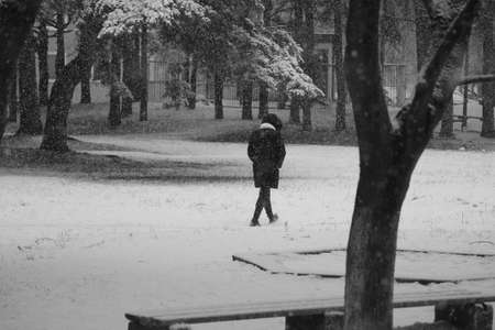 lovely figure of walk woman under big snowflakes in black and white colorの写真素材