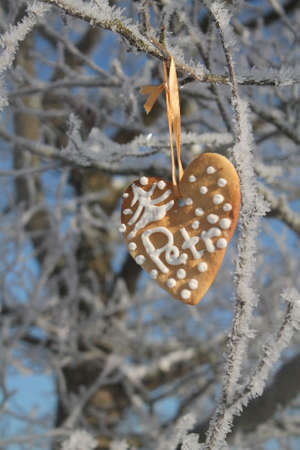 sweet Christmas cookies hang on tree covering shine winter rimeの写真素材