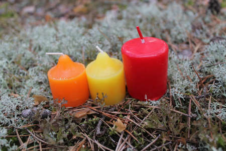 three beautiful colorful aroma candles decorated white moss nice adornment on holidayの写真素材