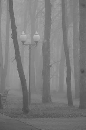 deep fog city streetsの写真素材