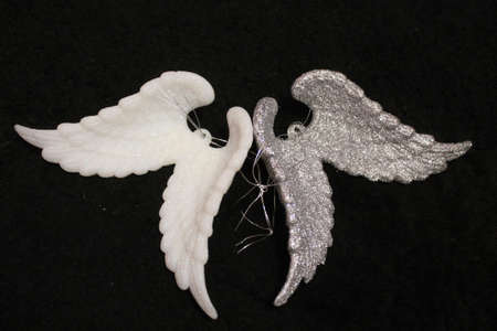 pair of angel wings