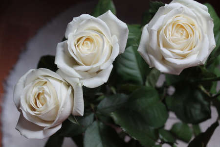 beautiful white garden roses decoration for wedding partyの写真素材