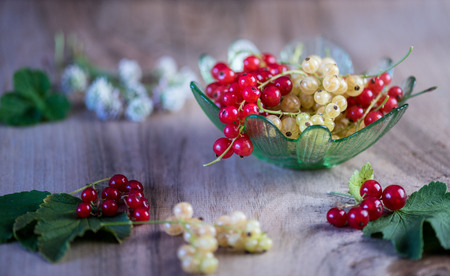 In the green bowl a portion of summer berriesの写真素材