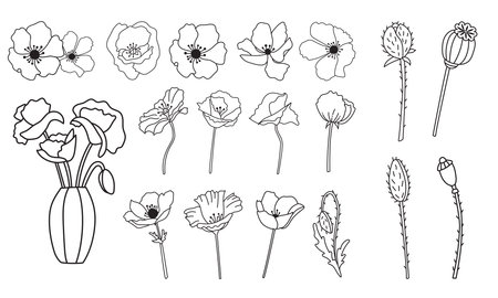 Set of vector anemone flowers, black and white line illustration, botanical field poppies suits for plotter cuttingのイラスト素材