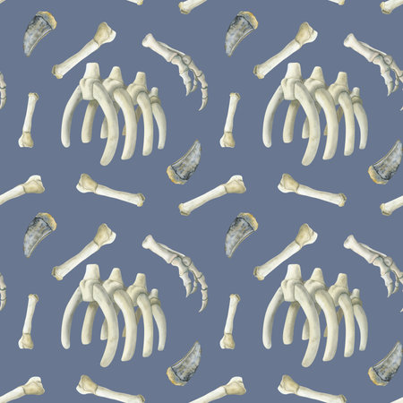Watercolor paleontologic seamless pattern with dinosaurs bones, tyrannosaurus ribs and theeth on blue backgroundの写真素材