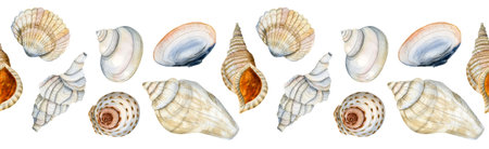 Watercolor seamless horizontal border with nautical seashells on white background in blue, orange, beige colorsの写真素材