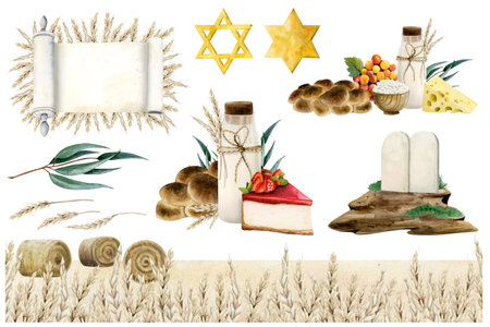 Shavuot greeting template and compositions with Jewish holiday symbols. Watercolor illustration set isolated on white with Torah scroll, challah bread, milk, cheese, stone tablets and wheat fieldの写真素材