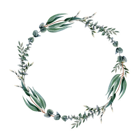 Eeucalyptus round watercolor wreath with silver dollar branches and plants with long leaves. Elegant botanical green frame with copy space for text isolated on white backgroundの写真素材