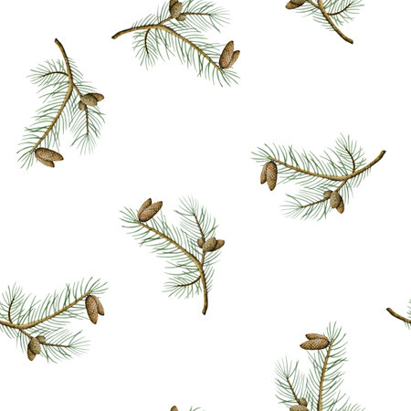 Christmas tree branches with cone watercolor seamless pattern on white background. Evergreen pine for winter New Year gift paper and wrapping, nature printの写真素材