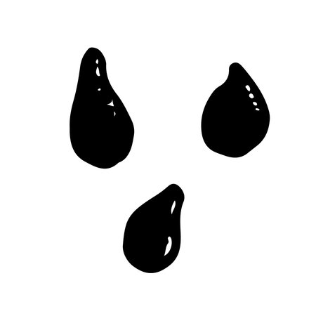 Black dragon fruit watermelon seeds set vector simple minimalist illustrationのイラスト素材