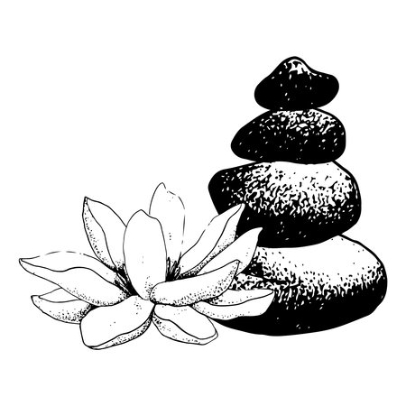 Vector lotus flower and balanced stones pyramid realistic graphic sketch illustration for yoga centers, natural cosmetics and health careのイラスト素材