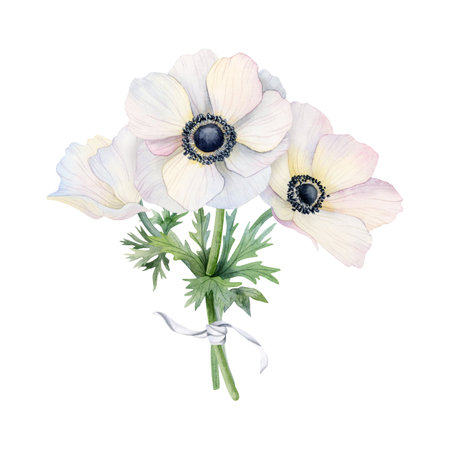 White flowers bouquet with field anemone poppies and ribbon watercolor illustration isolated on white background for greeting cards, spring wedding invitations, mothers day designsの写真素材