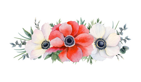 Red and white anemone flowers horizontal banner with eucalyptus branches and grass watercolor floral illustration isolated on white. Field poppy for Red South Festival in Negev desertの写真素材