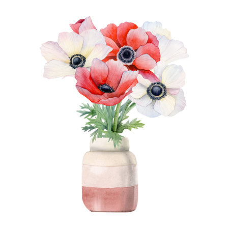 Anemones wildflowers bouquet of white and red field poppies in ceramic pale pink vase watercolor illustration isolated on white background for spring wedding design and Womens day cardsの写真素材