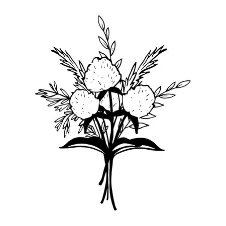 Clover with lush dry grass bouquet vector illustration. Botanical drawing for spring and summer floral rustic designsのイラスト素材