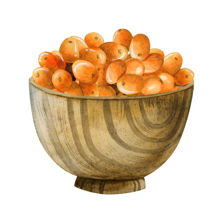 Sea buckthorn ripe orange berries in wooden bowl watercolor illustration isolated on white background in rustic style for organic natural products designsの写真素材