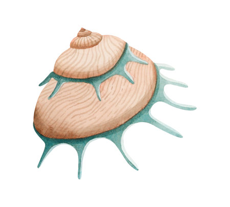 Spiral sea shell in beige and green colors watercolor illustration. Sun carrier seashell mollusk for summer marine vacation. Tropical oceanic conch clipartの写真素材