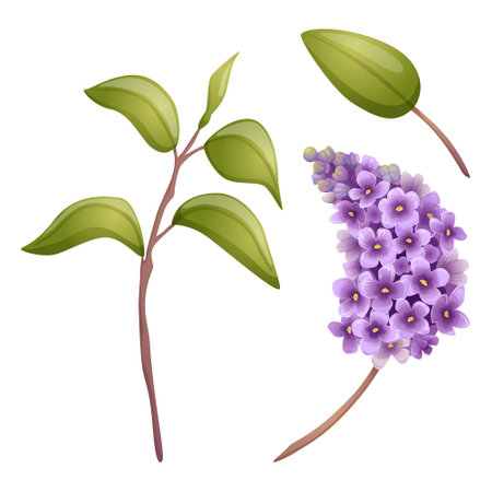 Lilac flowers branch and green leaves setのイラスト素材