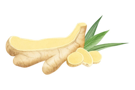 Cut ginger roots with slices and green leaves watercolor illustration in beige and yellow colors....